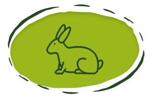 ikona królik