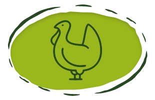 ikona ptak